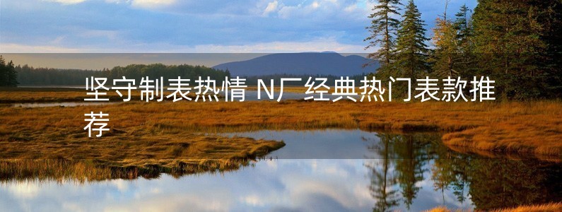 堅守制表熱情 N廠經(jīng)典熱門表款推薦