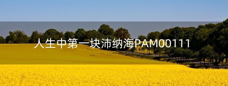 人生中第一塊沛納海PAM00111