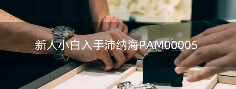 新人小白入手沛納海PAM00005