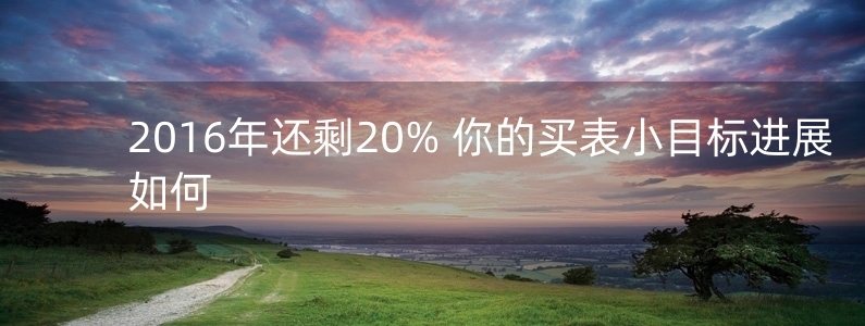 2016年還剩20% 你的買表小目標進展如何