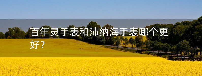 百年靈手表和沛納海手表哪個(gè)更好？