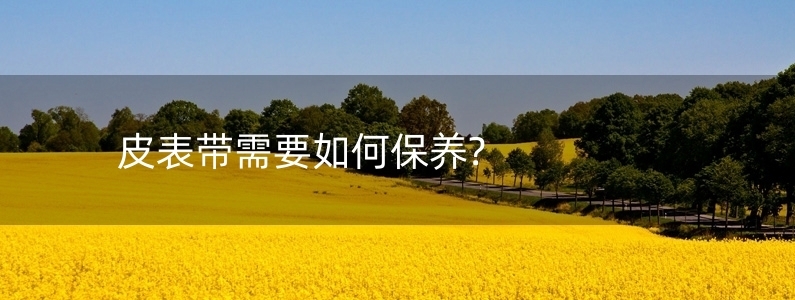 皮表帶需要如何保養(yǎng)?