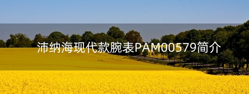 沛納?，F(xiàn)代款腕表PAM00579簡介