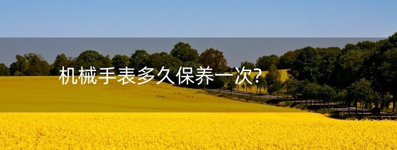 機(jī)械手表多久保養(yǎng)一次?