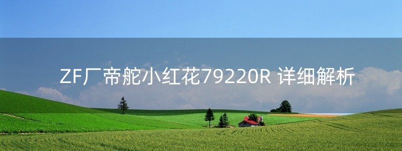 ZF廠帝舵小紅花79220R 詳細(xì)解析