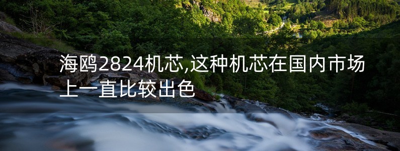 海鷗2824機(jī)芯,這種機(jī)芯在國(guó)內(nèi)市場(chǎng)上一直比較出色