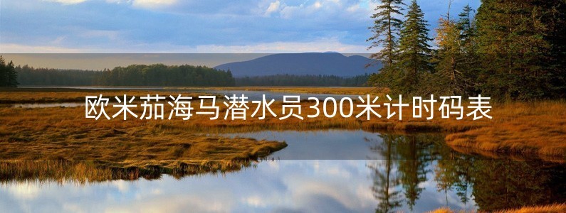 歐米茄海馬潛水員300米計(jì)時(shí)碼表