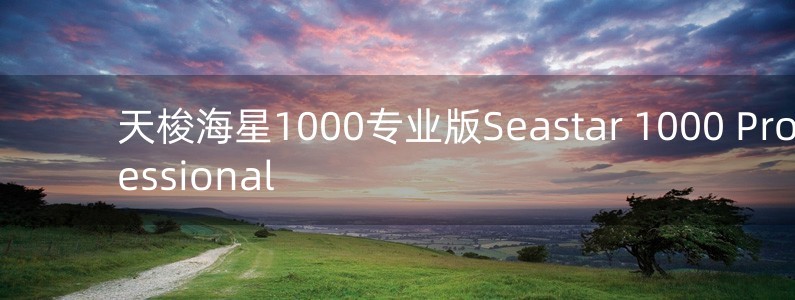 天梭海星1000專業(yè)版Seastar 1000 Professional